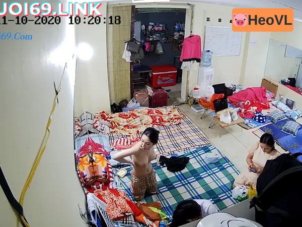 Quay lén động nhền nhện tinh video